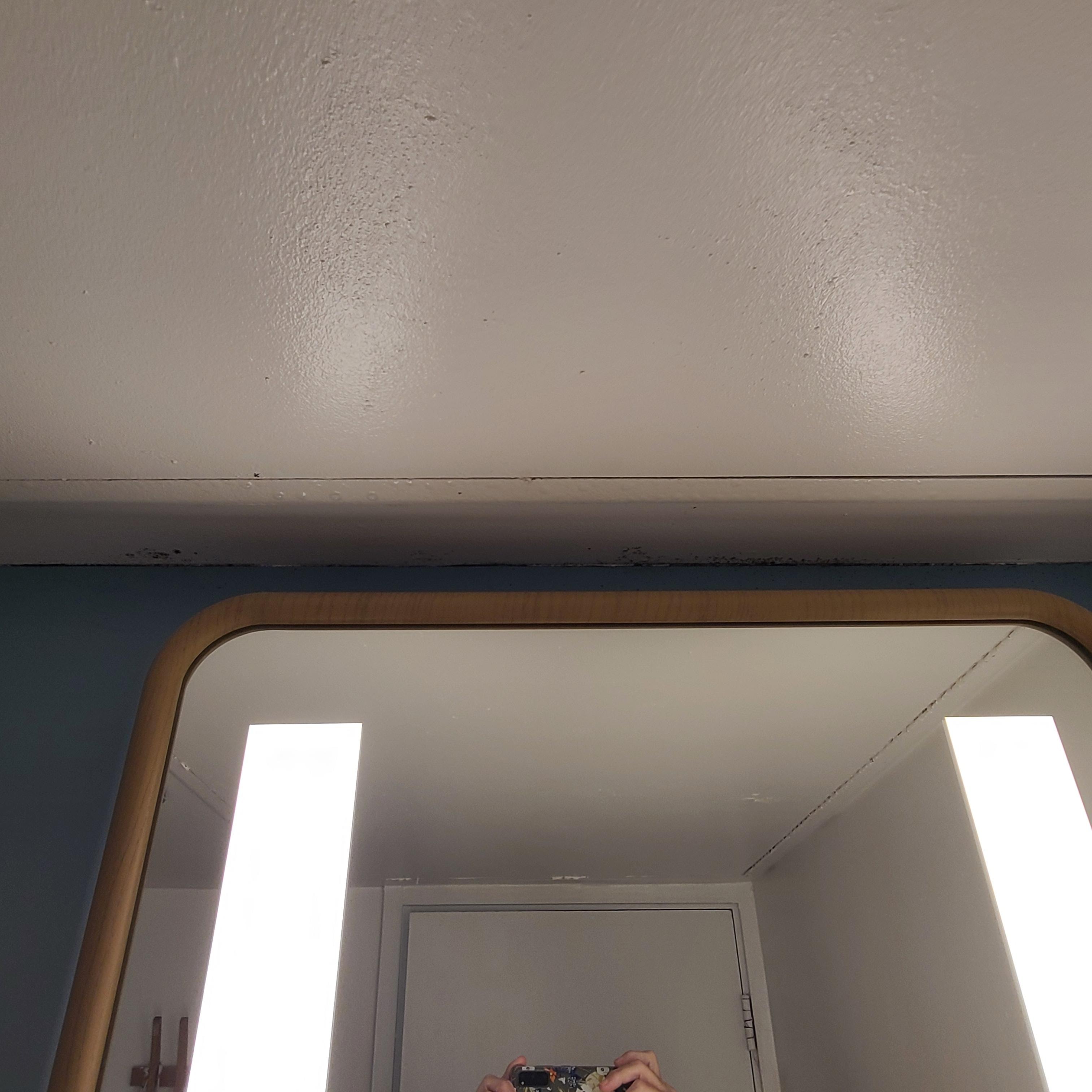 Tons of mold on ceilimg