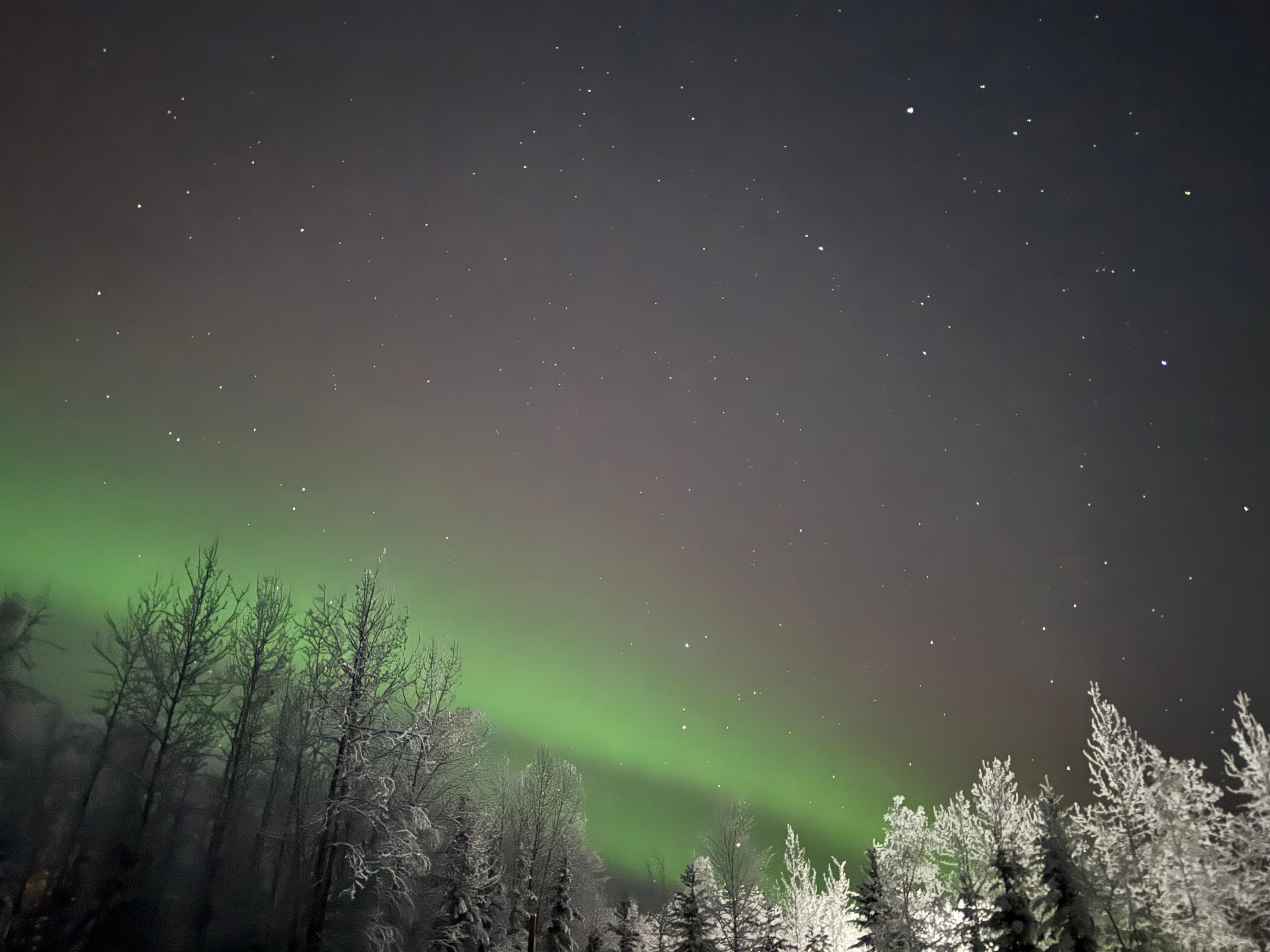 View just a few steps out from the cabin