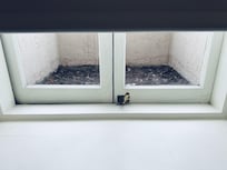basement window
