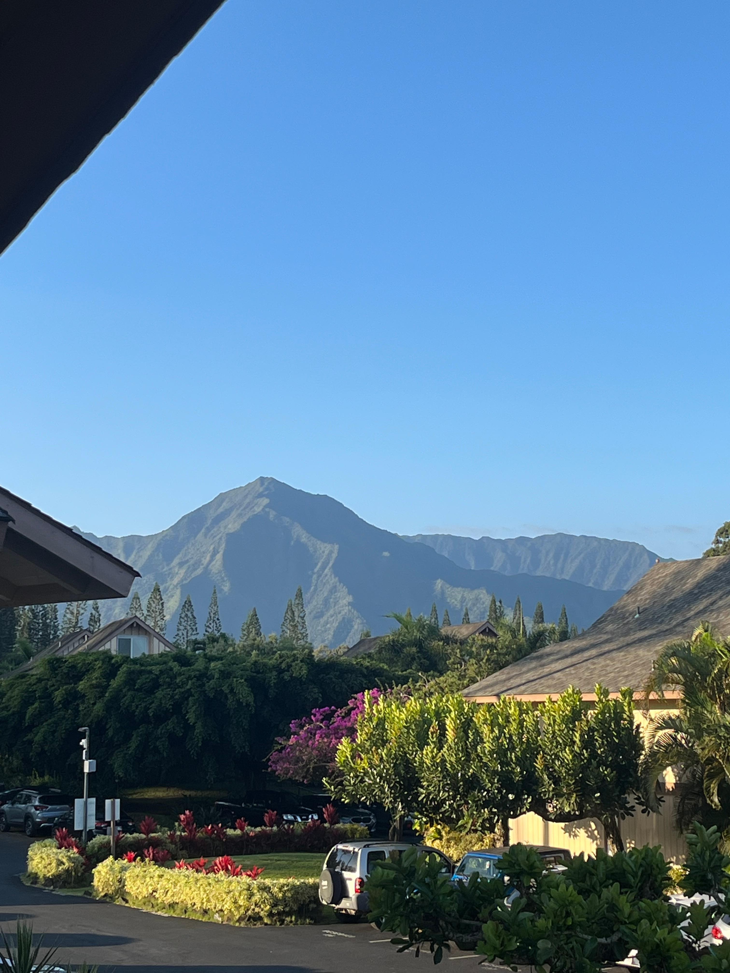 View from the balcony!