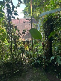 View from porch