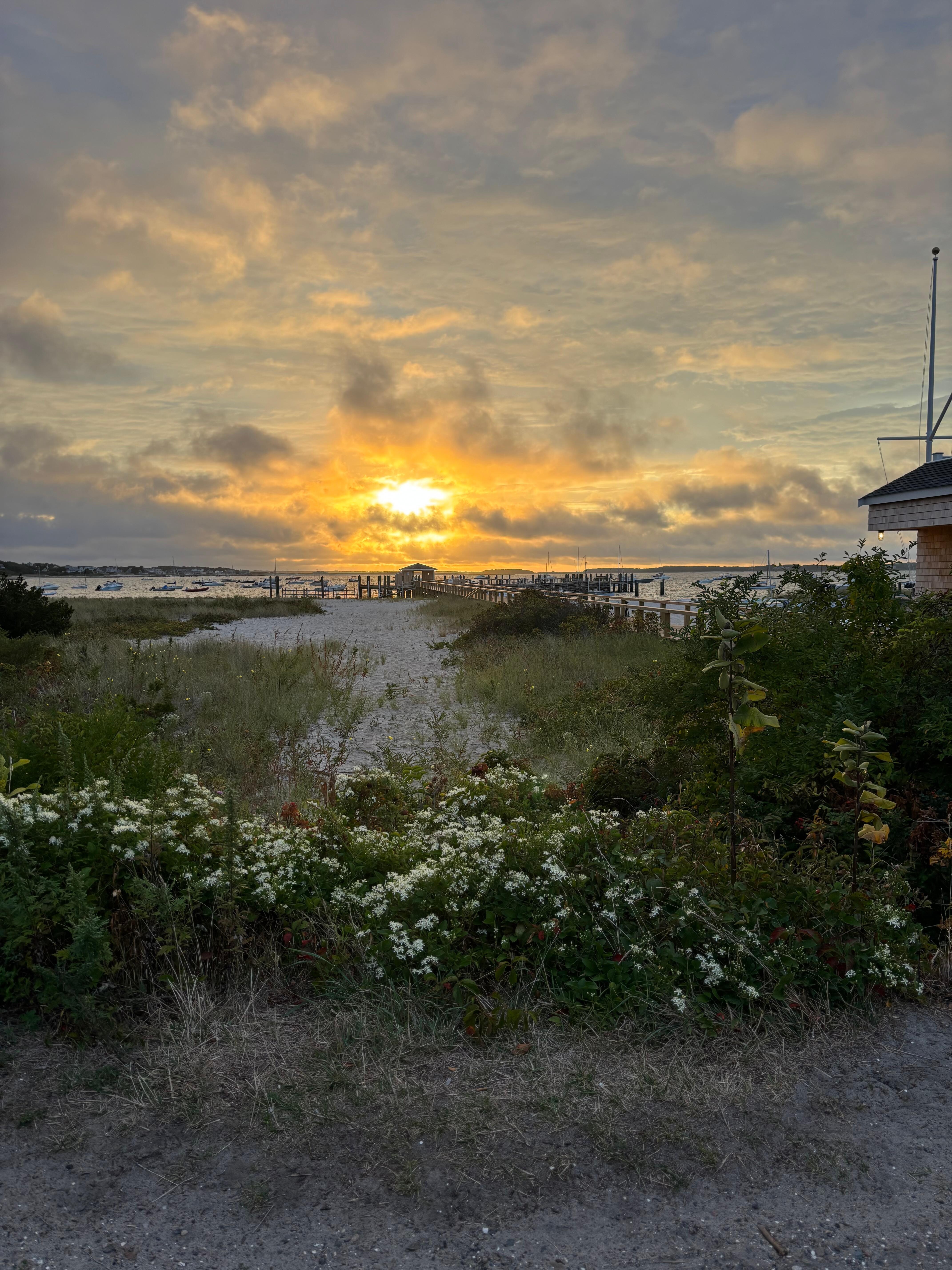 Took an early morning drive