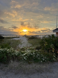 Took an early morning drive