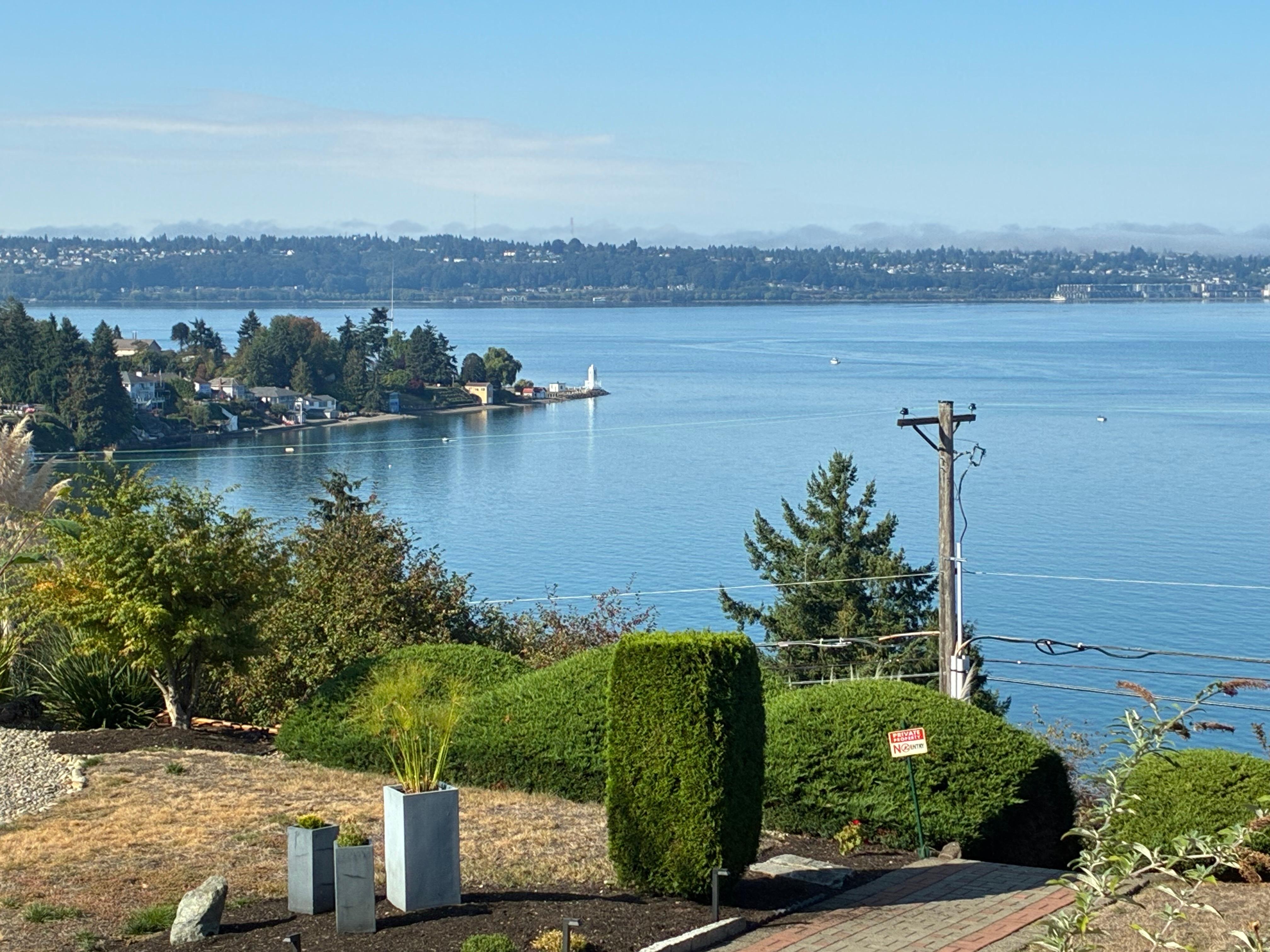 view from the front windows 