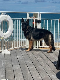 Watching the ocean from the beach deck.