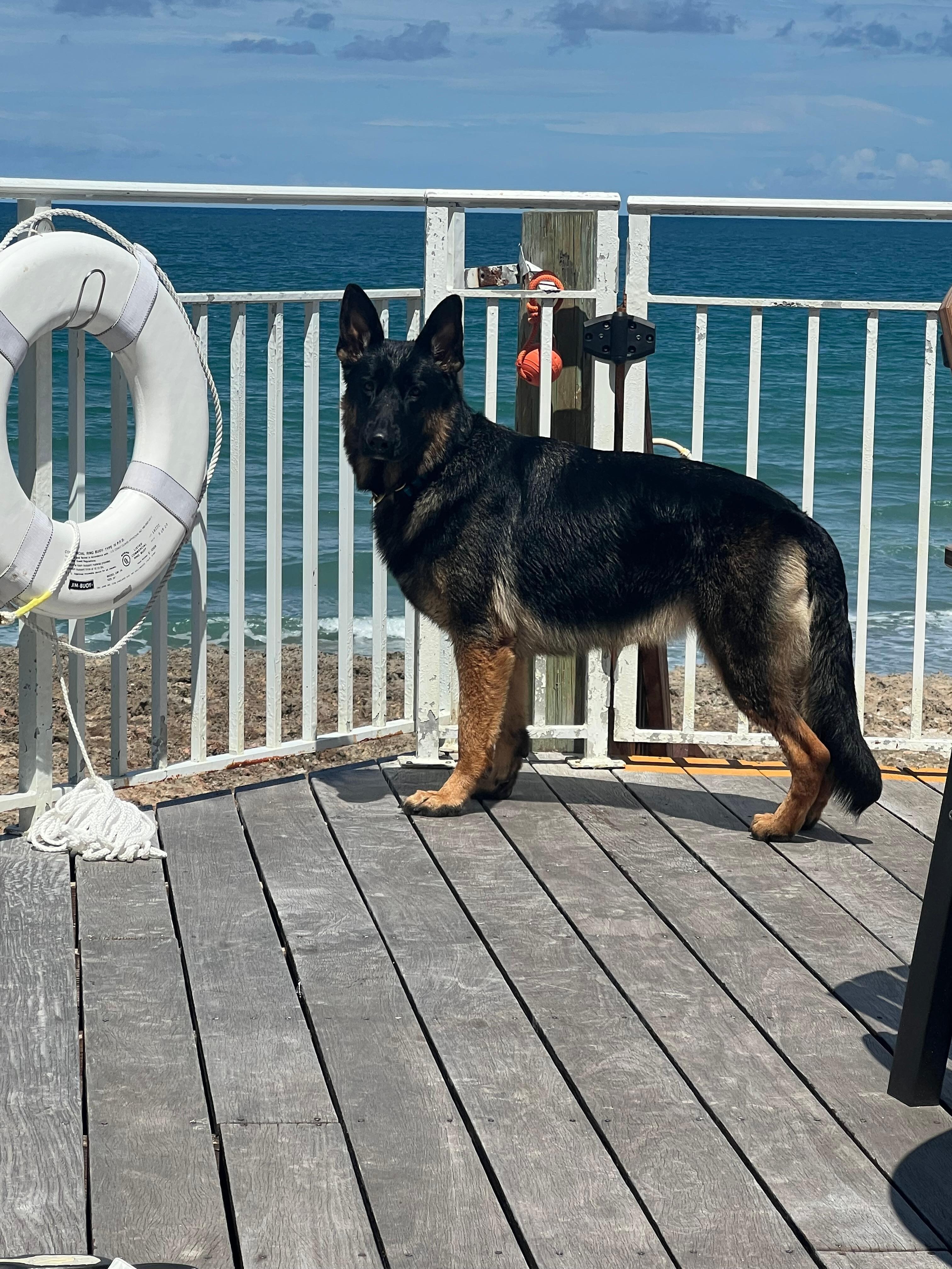 Watching the ocean from the beach deck.