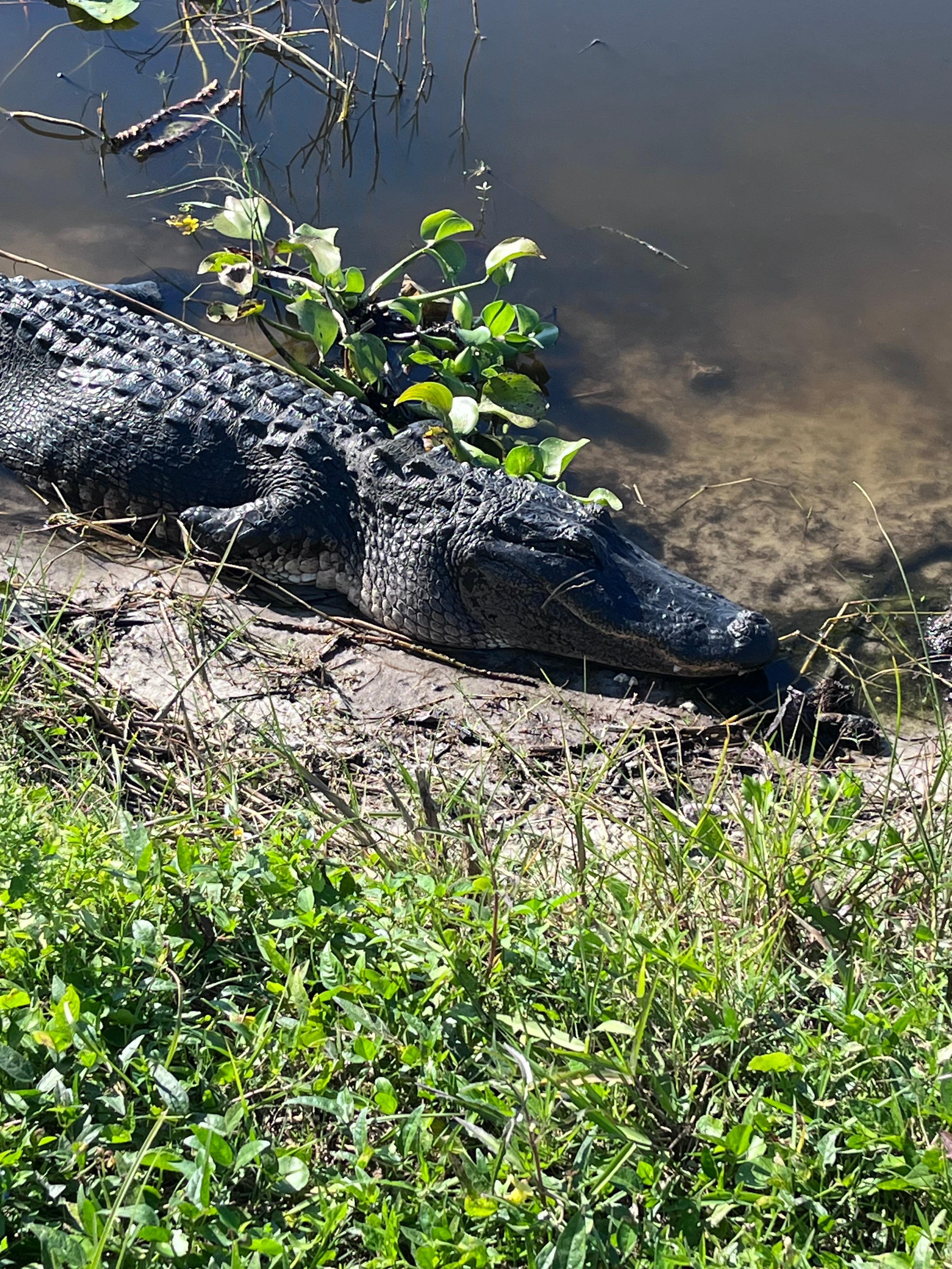 Near by circle B Bar reserve