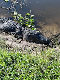 Near by circle B Bar reserve