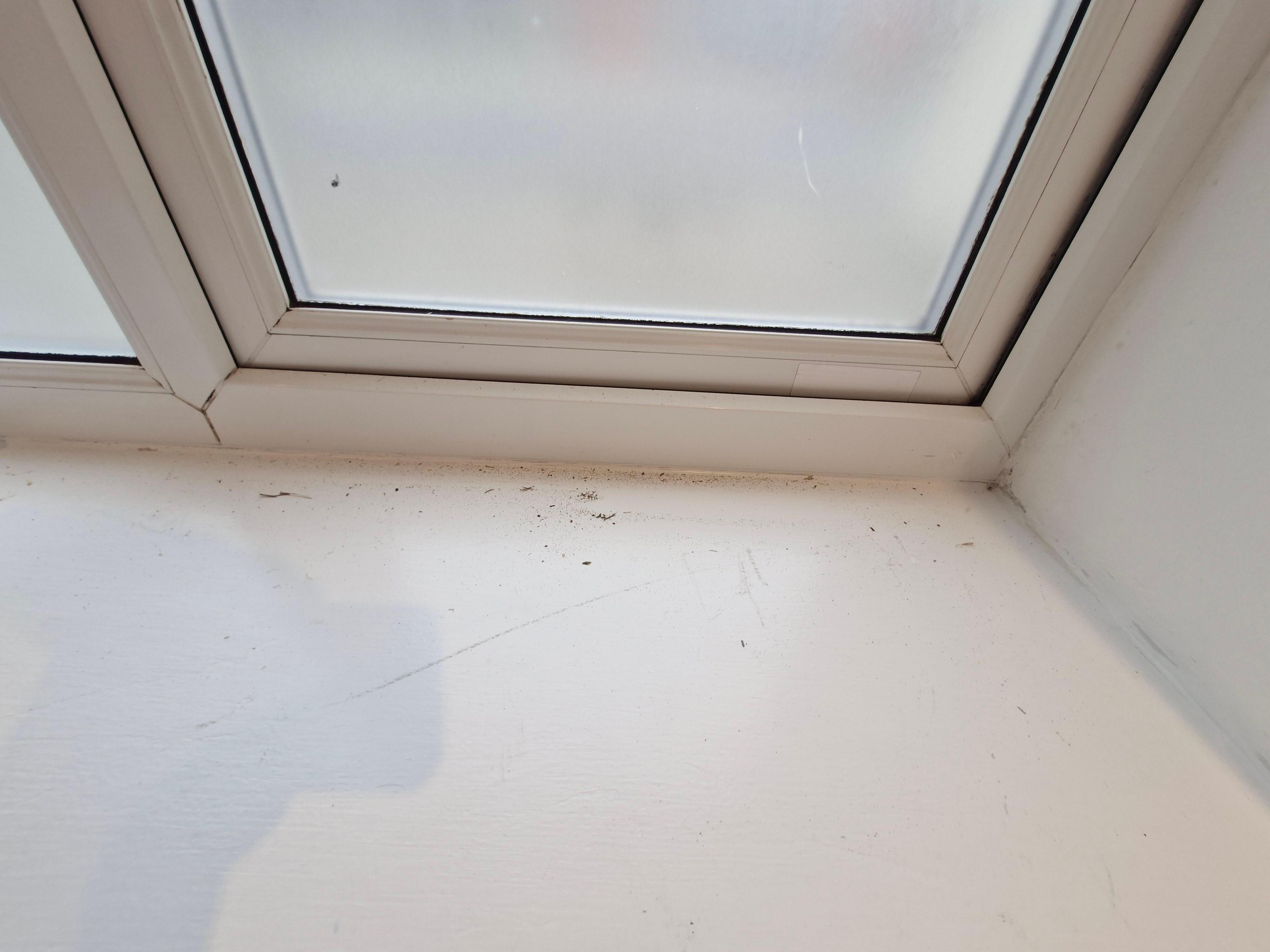 Muck on window sill due to window not shutting properly.