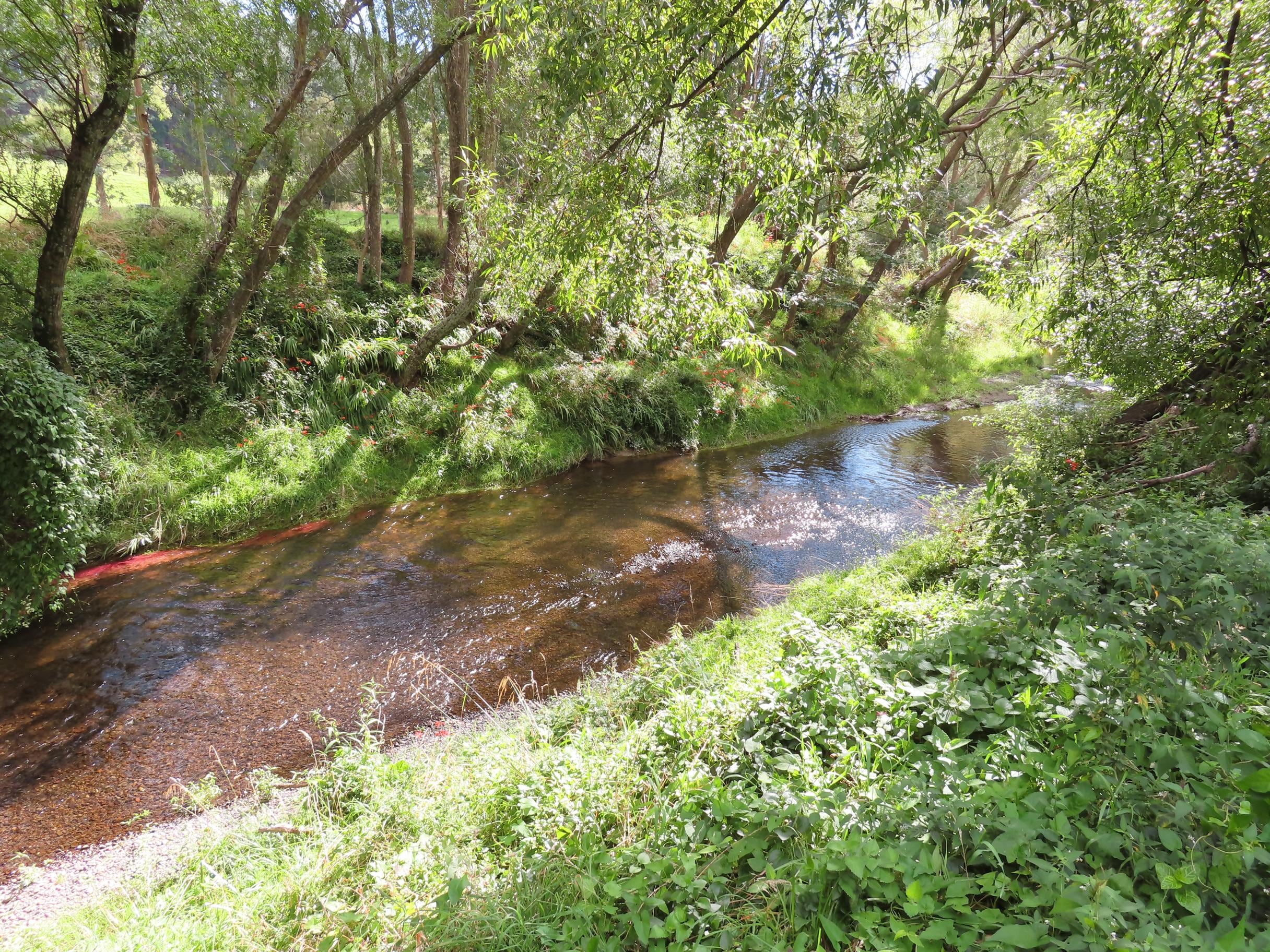 River down back of property