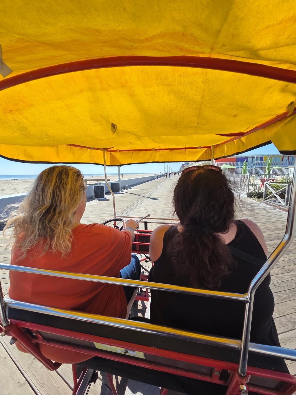 Bike rentals near by