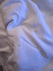 Blood spots in sheets