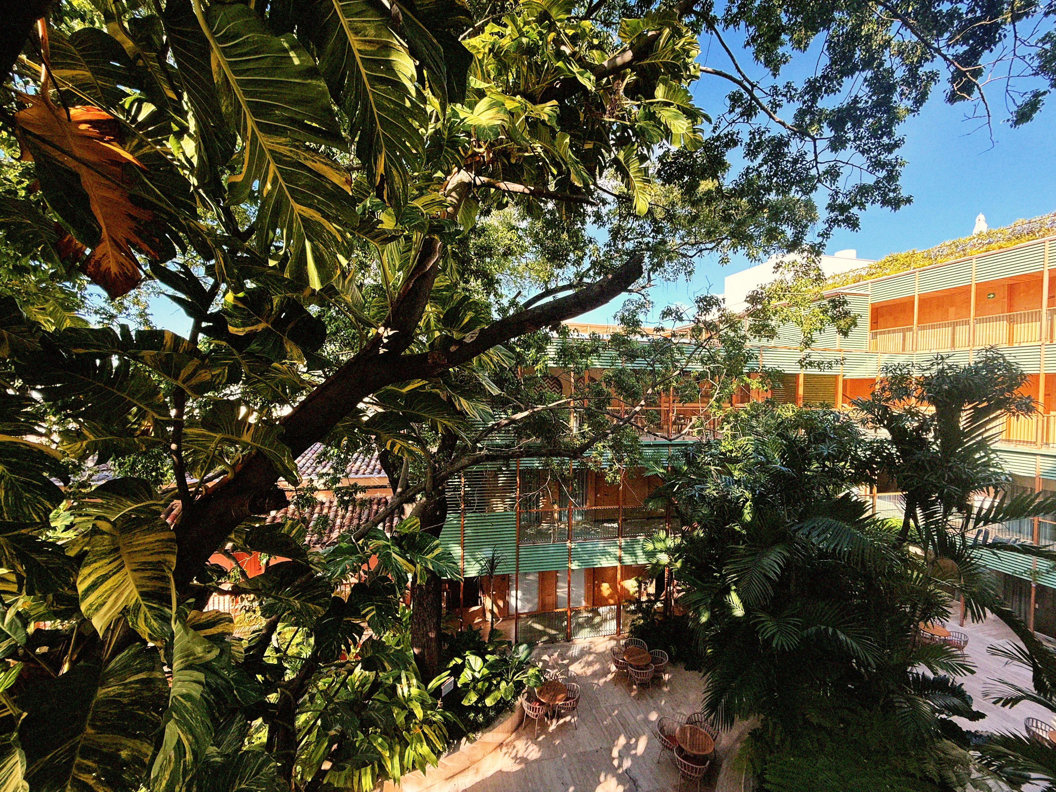 View from room hallway