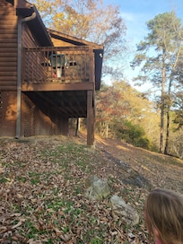 Backyard looking at back porch