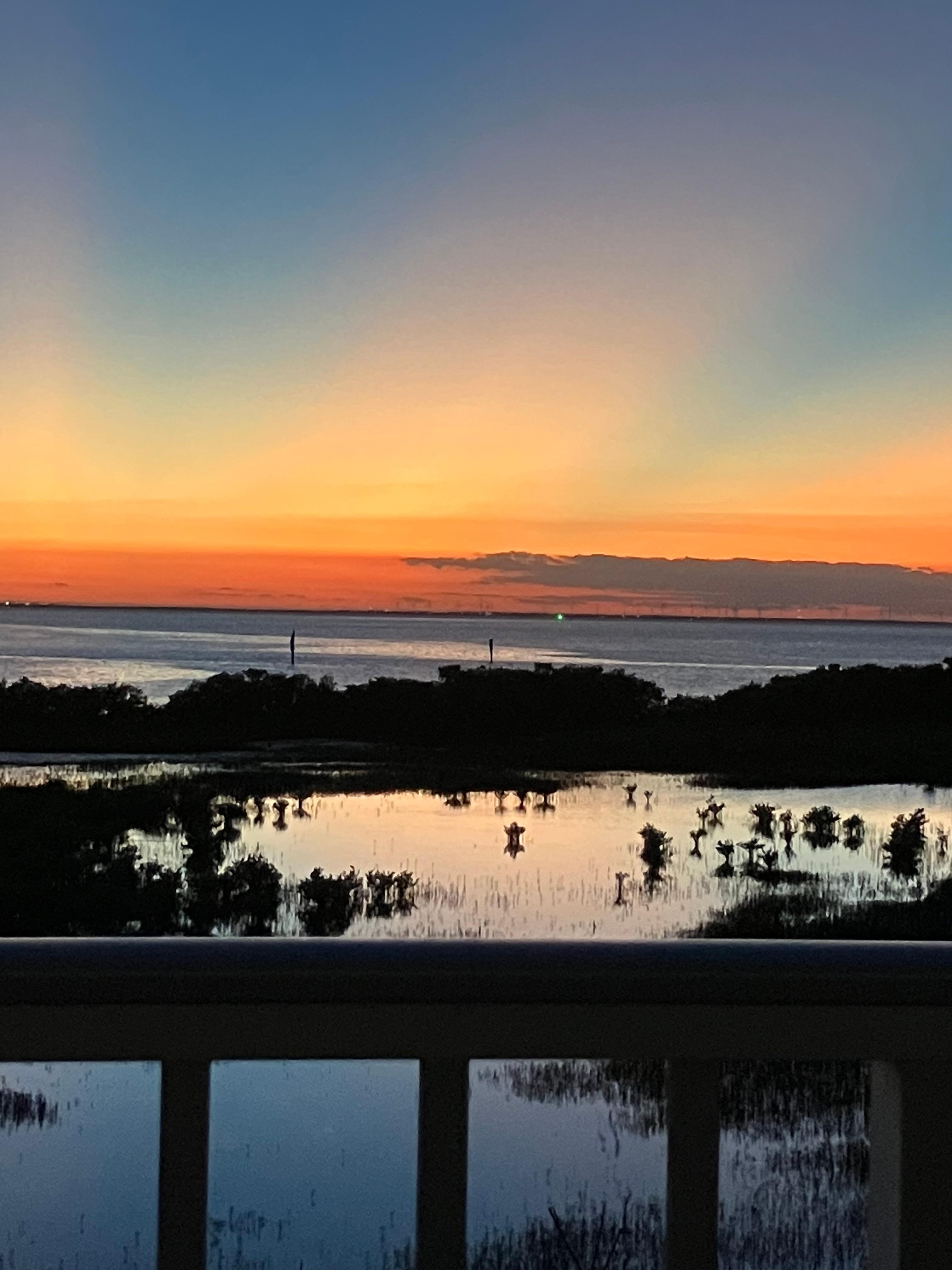 The view from the living room window!