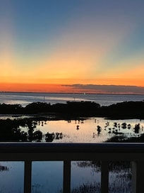 The view from the living room window!