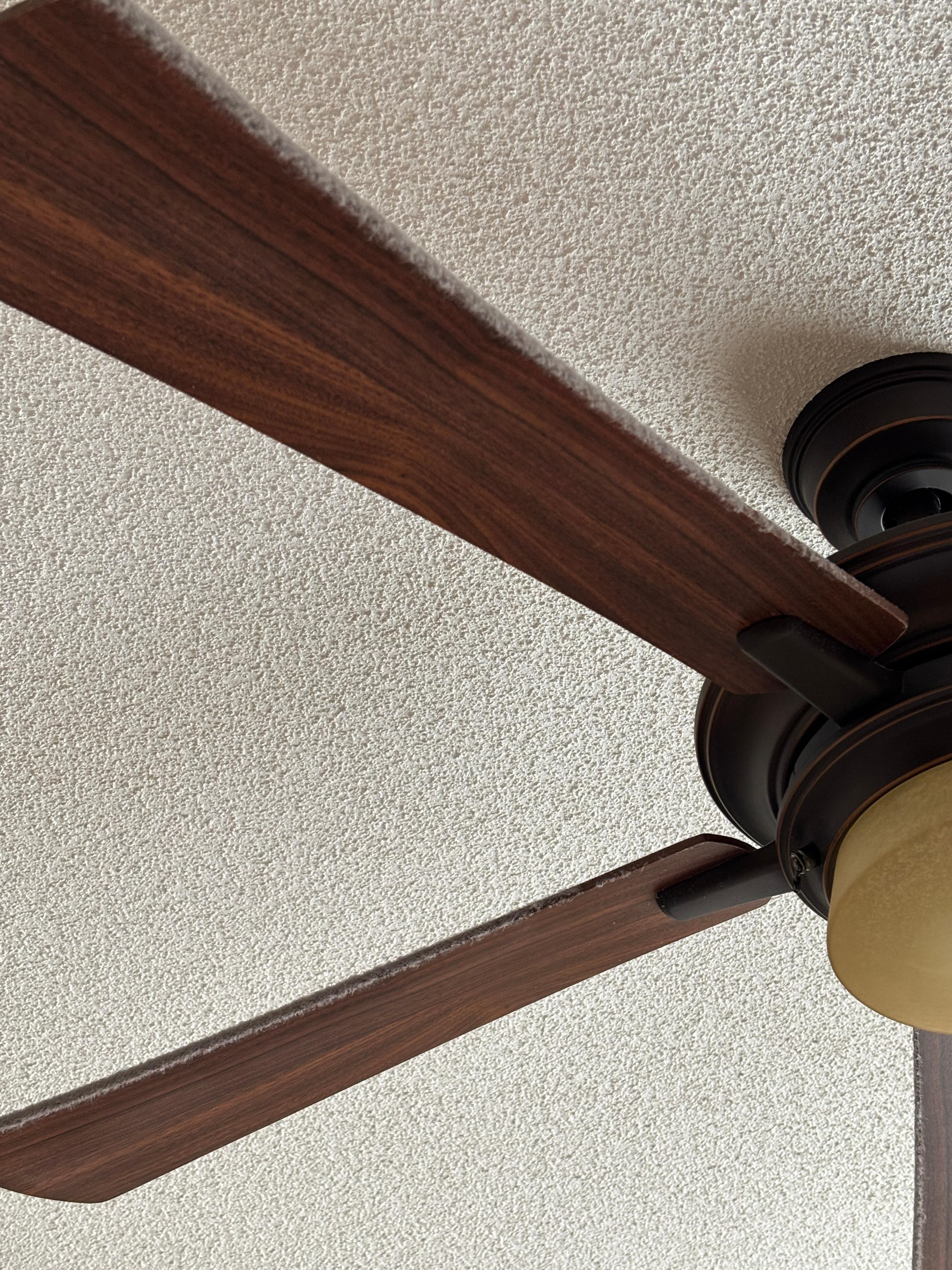 Dusty fan