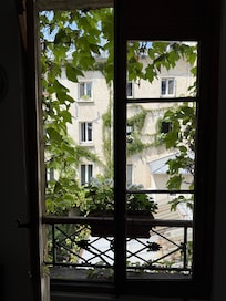Courtyard view from kitchen window
