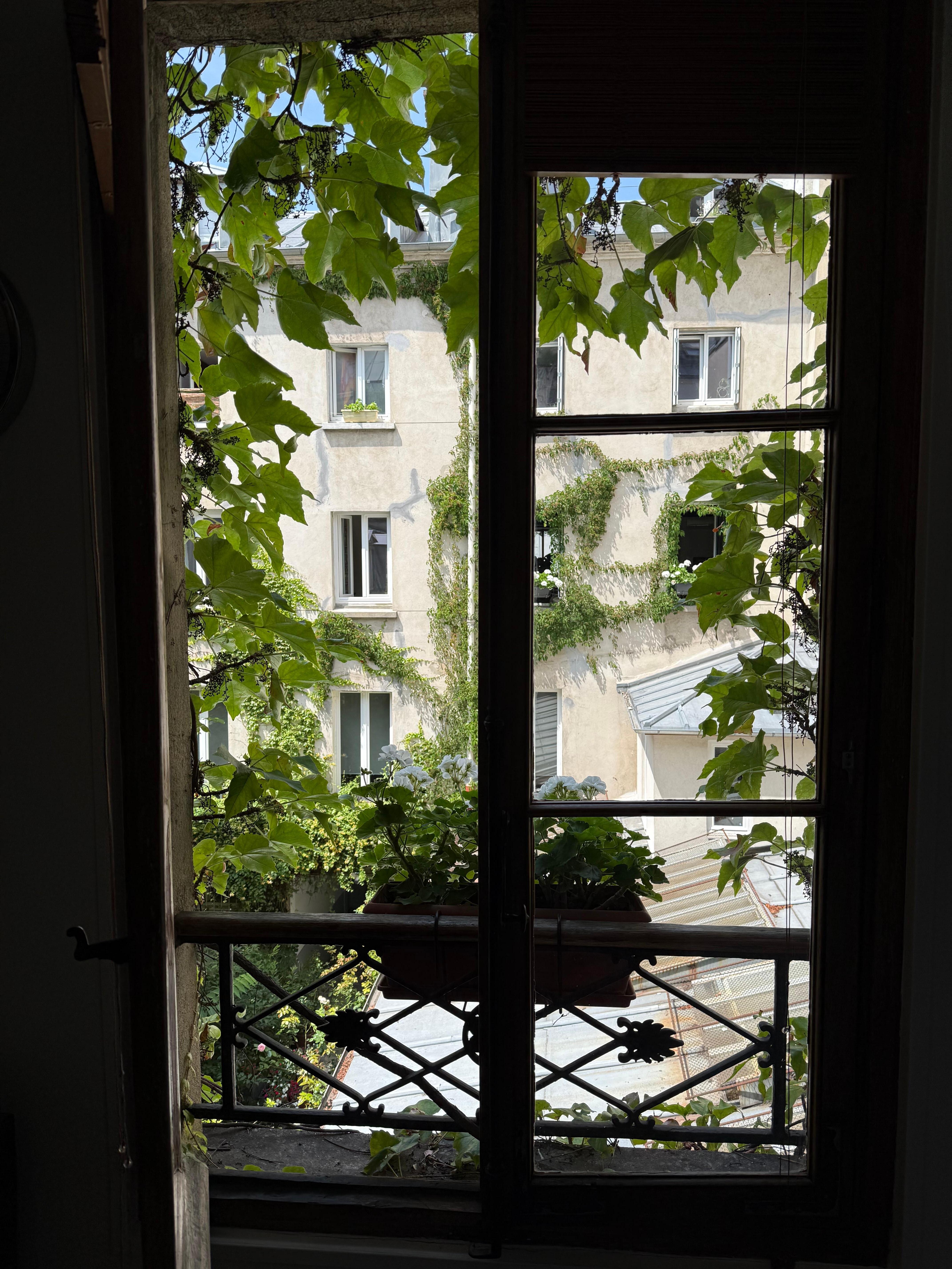 Courtyard view from kitchen window