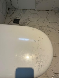 toilet seat had recurring black spots