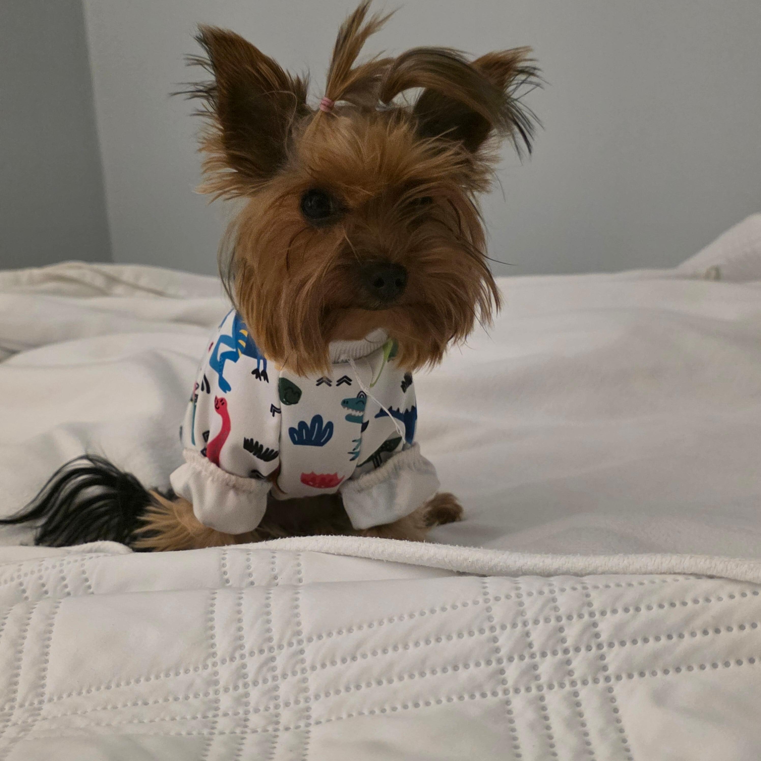 My sweet girl loved night night time after all the playing she did in the contry.