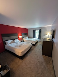 Basic room from the door