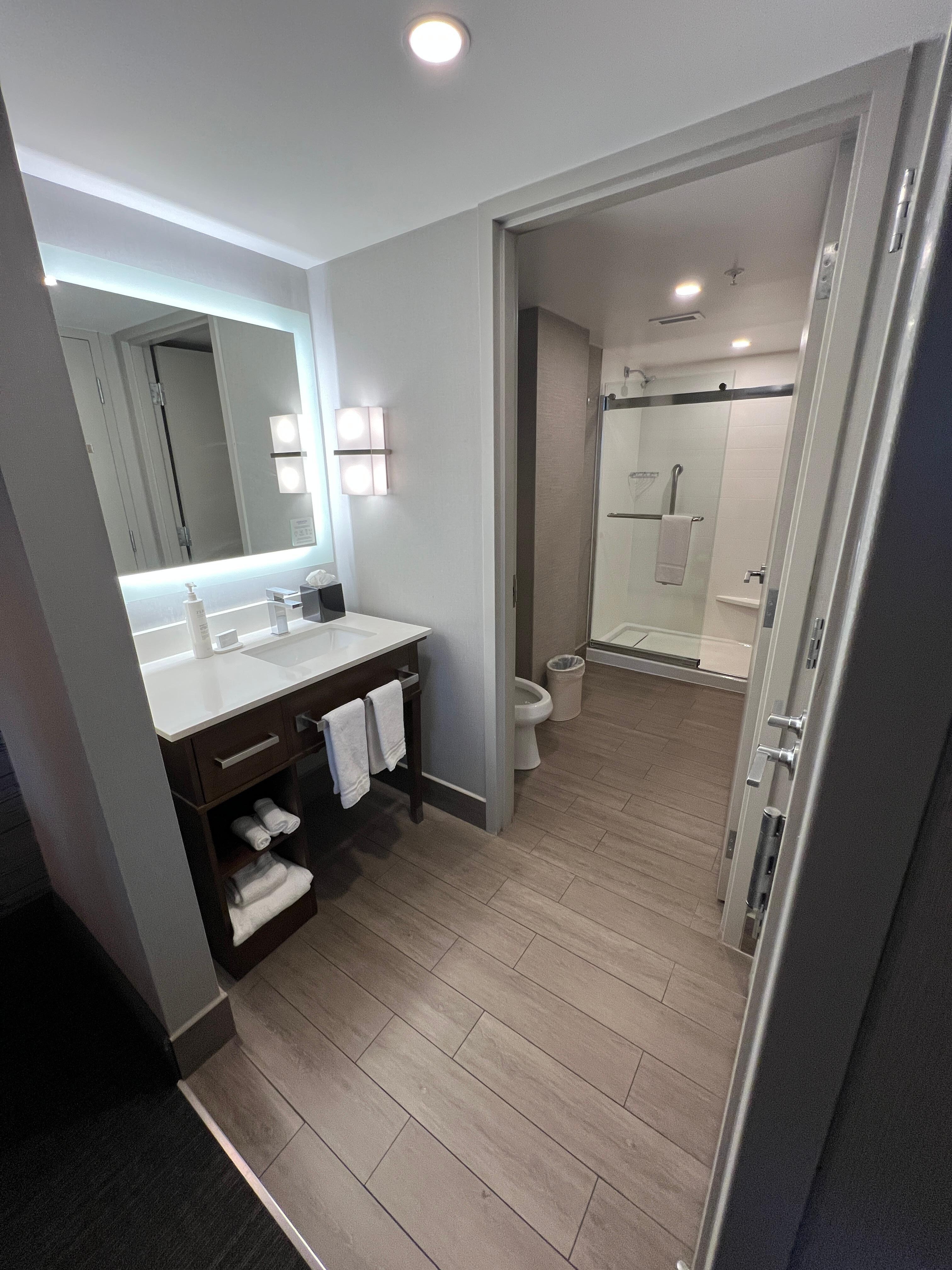 Bathroom Area, King Studio Suite