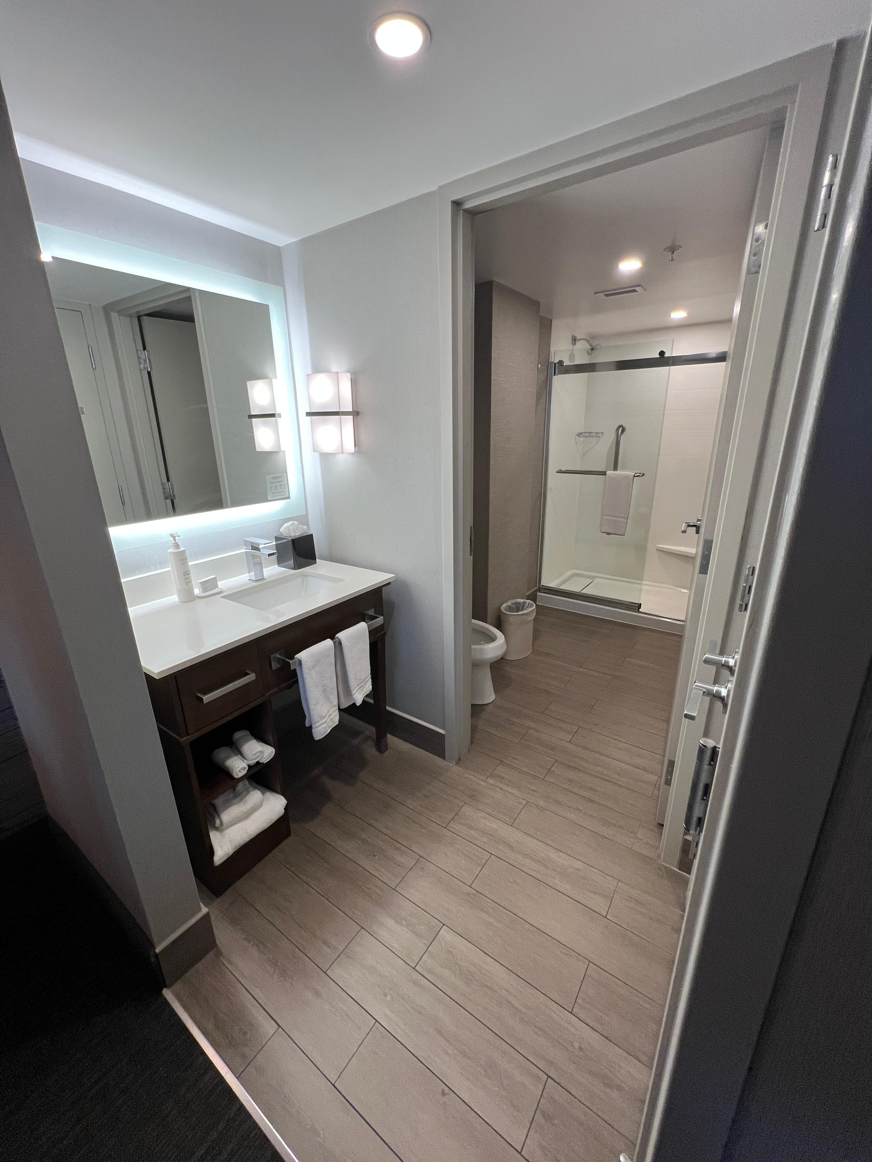 Bathroom Area, King Studio Suite