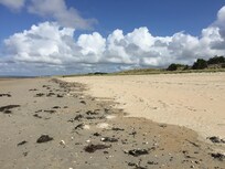 La plage à 800m