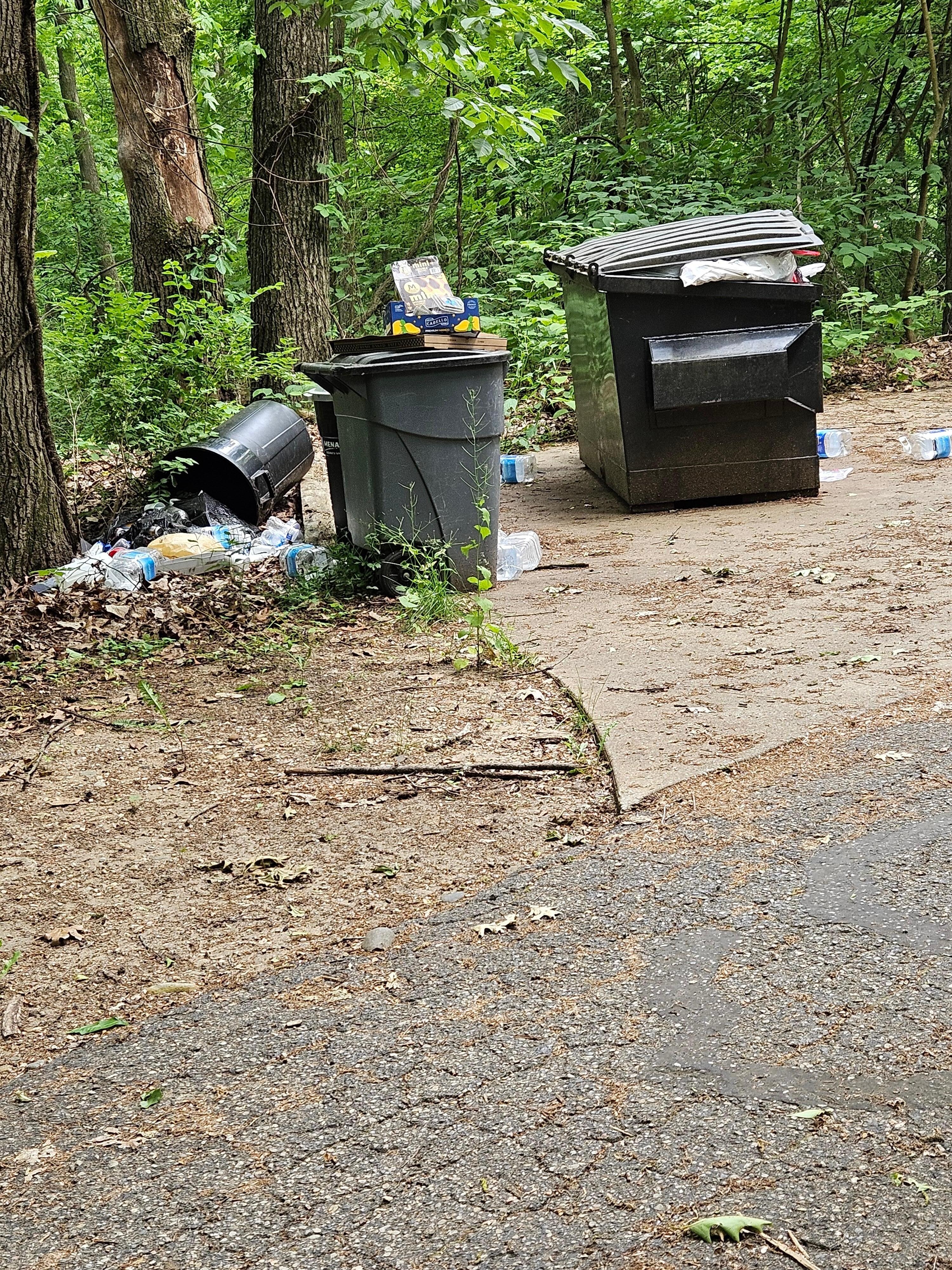 Overflowing dumpster area