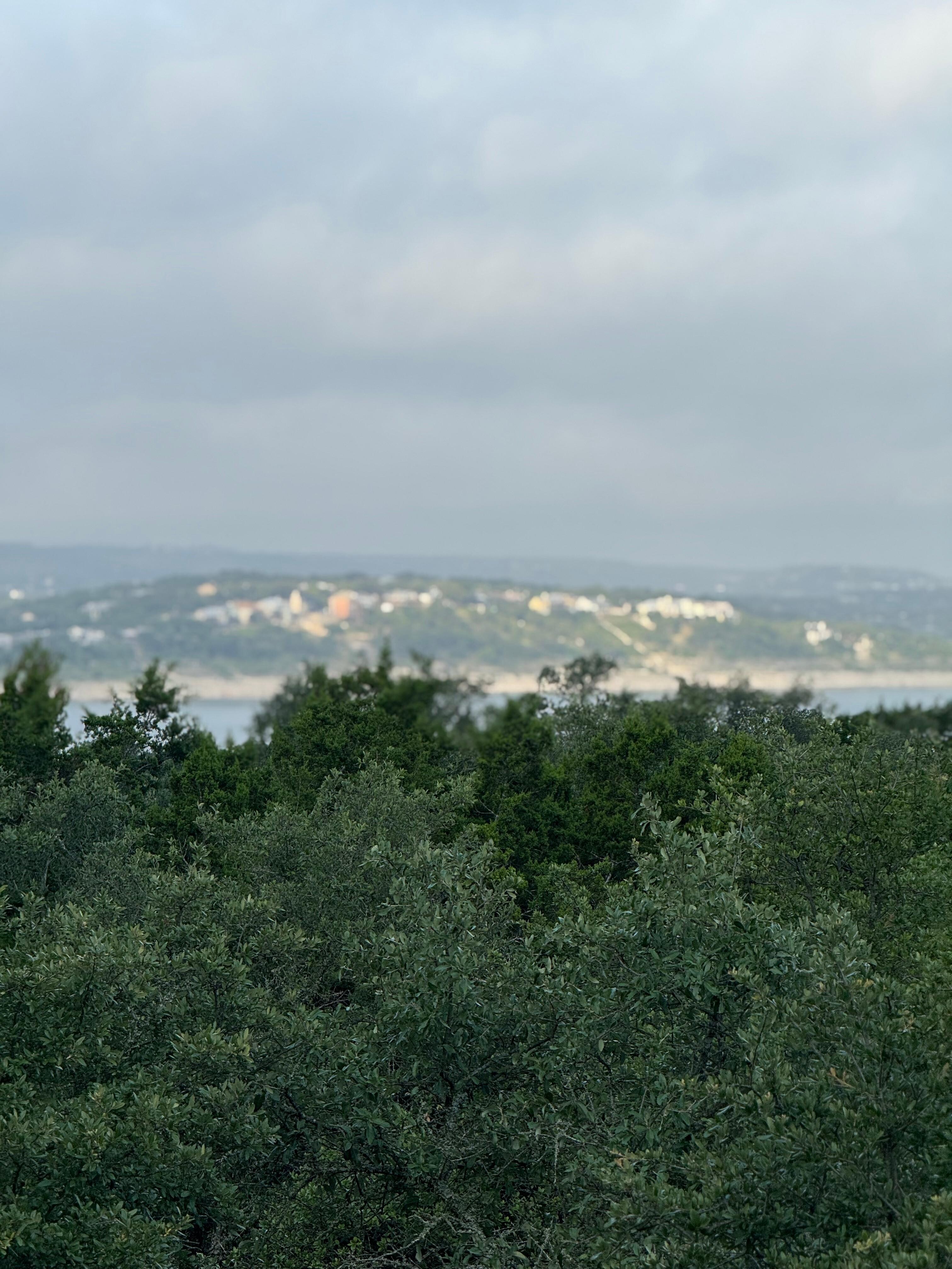 Day time
View of Canyon Lake