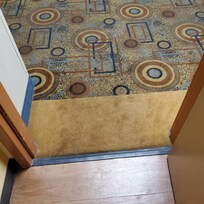 Hallway rug filthy