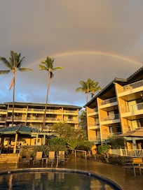 Rainbow over the property