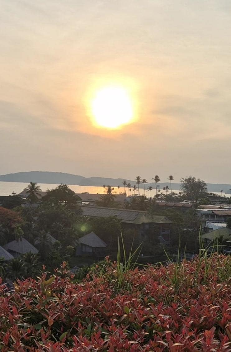 View from the roof top 