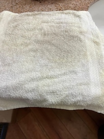 The filth on the washcloth after I wiped down the room when we arrived