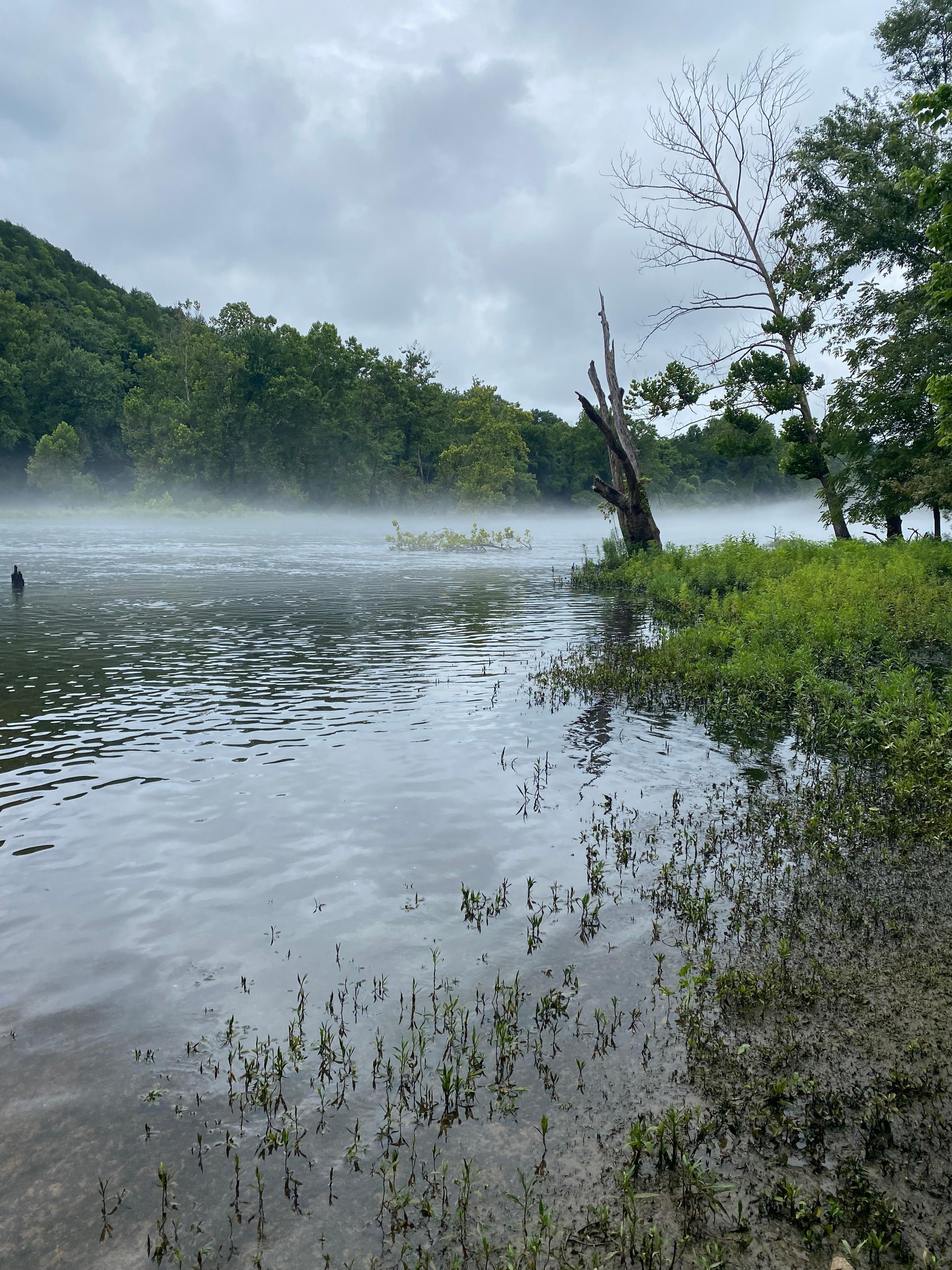 Lake access behind the condo