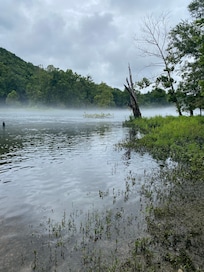 Lake access behind the condo