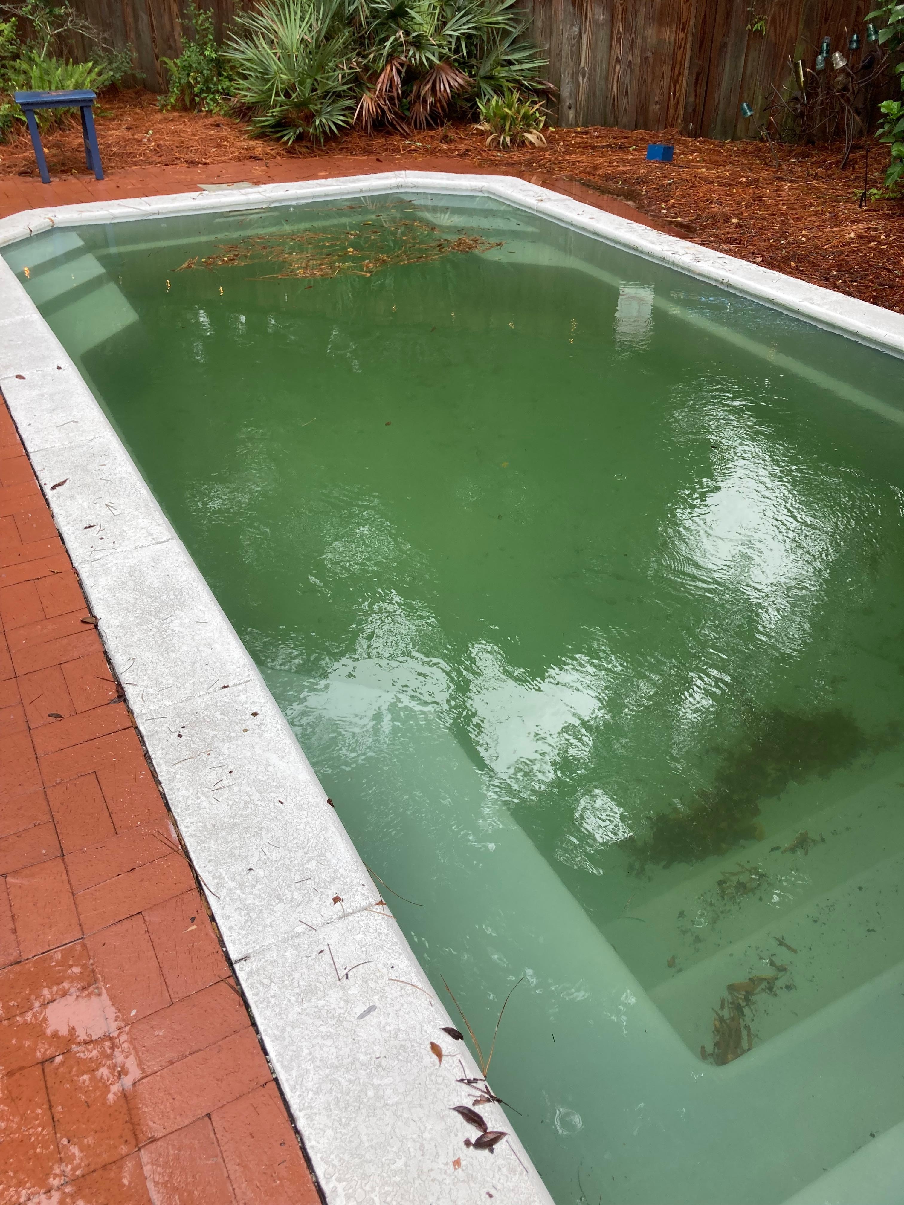 Actual pool. Pool cleaners came and treated pool but we couldn’t use it for 2 days. 