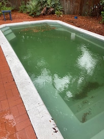 Actual pool. Pool cleaners came and treated pool but we couldn’t use it for 2 days.