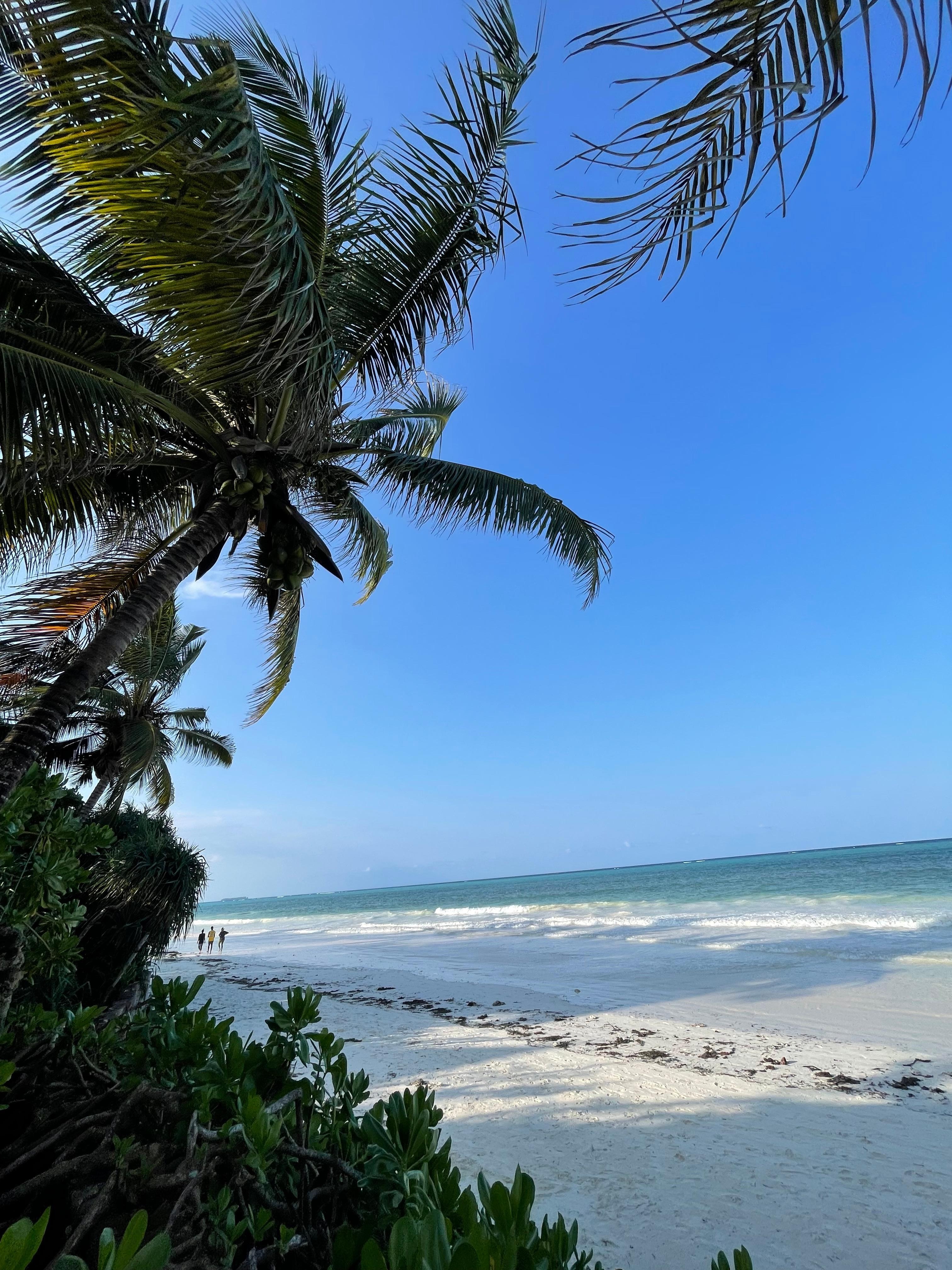 Beach and ocean