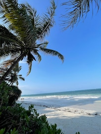 Beach and ocean