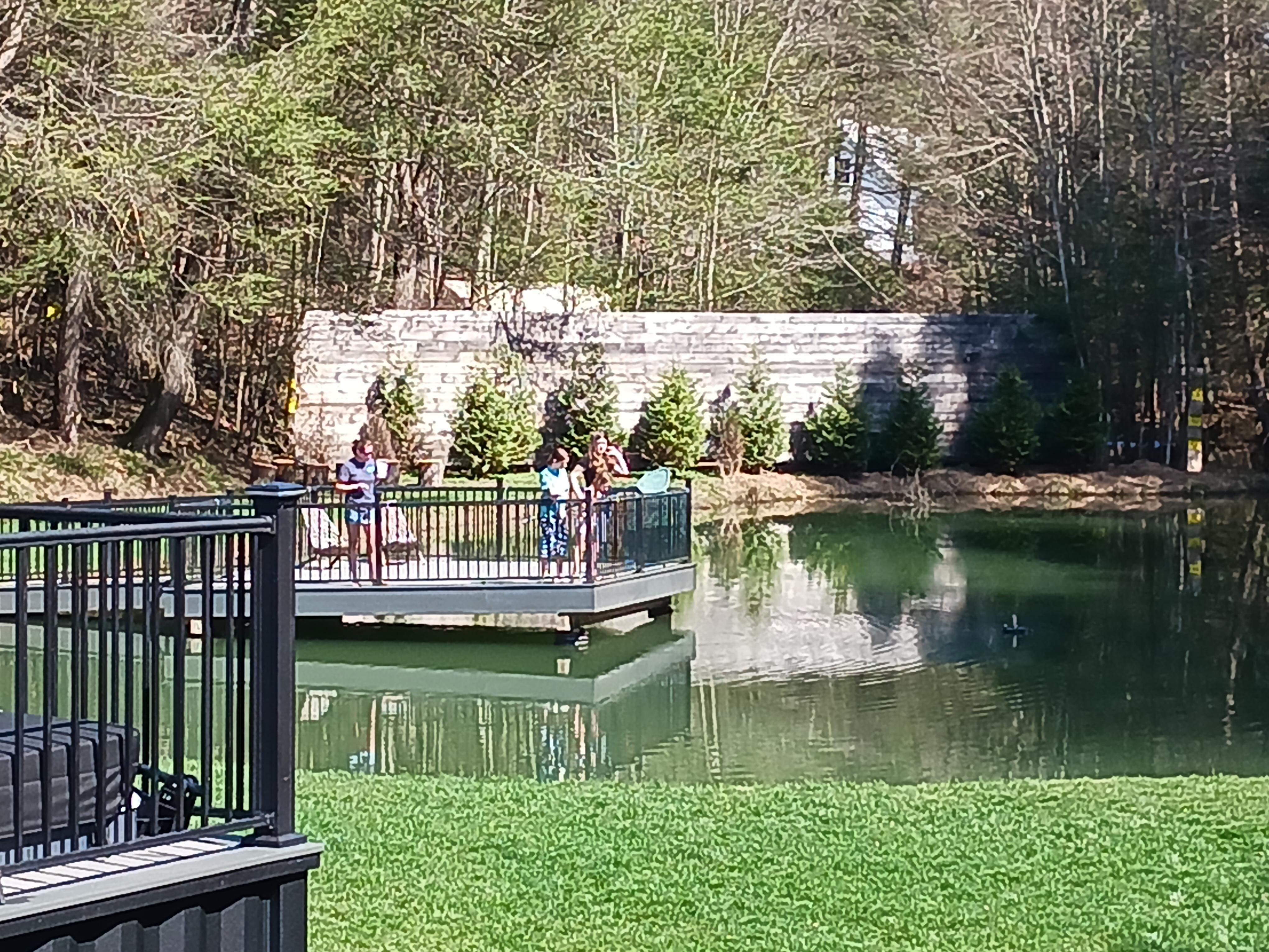 Beautiful view and relaxing dock