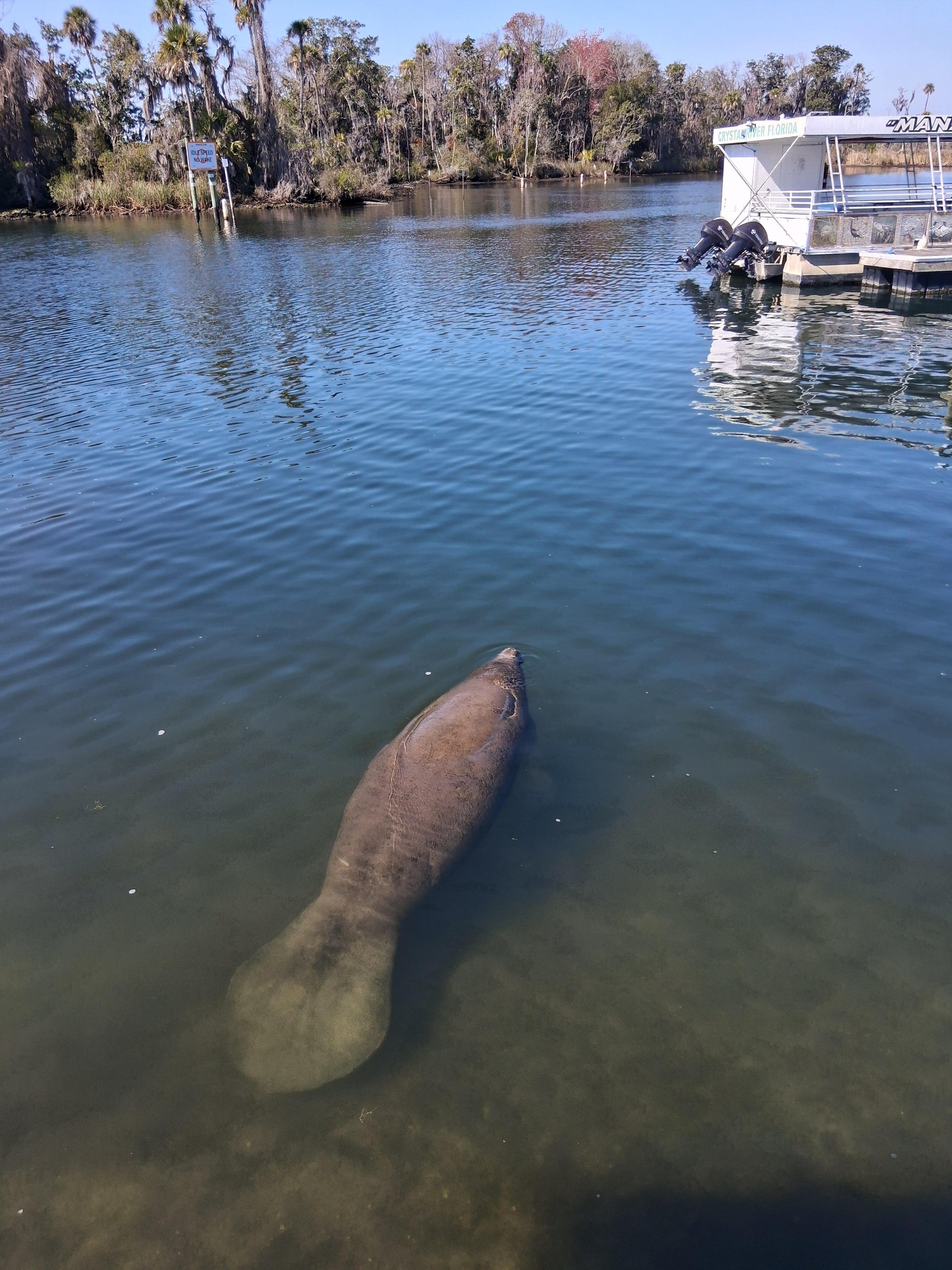 Right off side of tiki bar/restaurant, next to my table!!