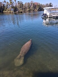 Right off side of tiki bar/restaurant, next to my table!!