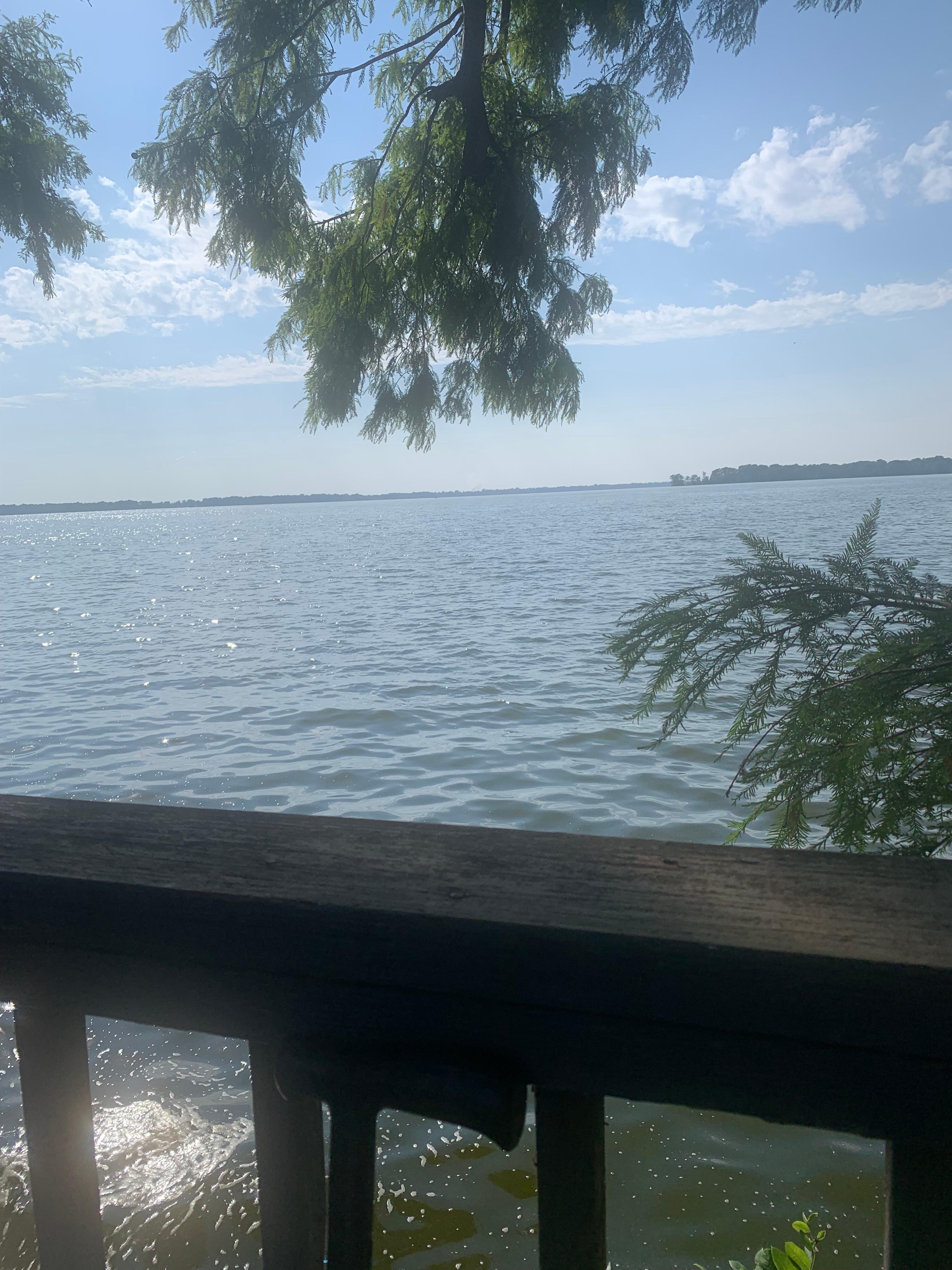 Saw several water snakes. 