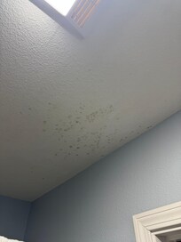 Mold in the bathroom