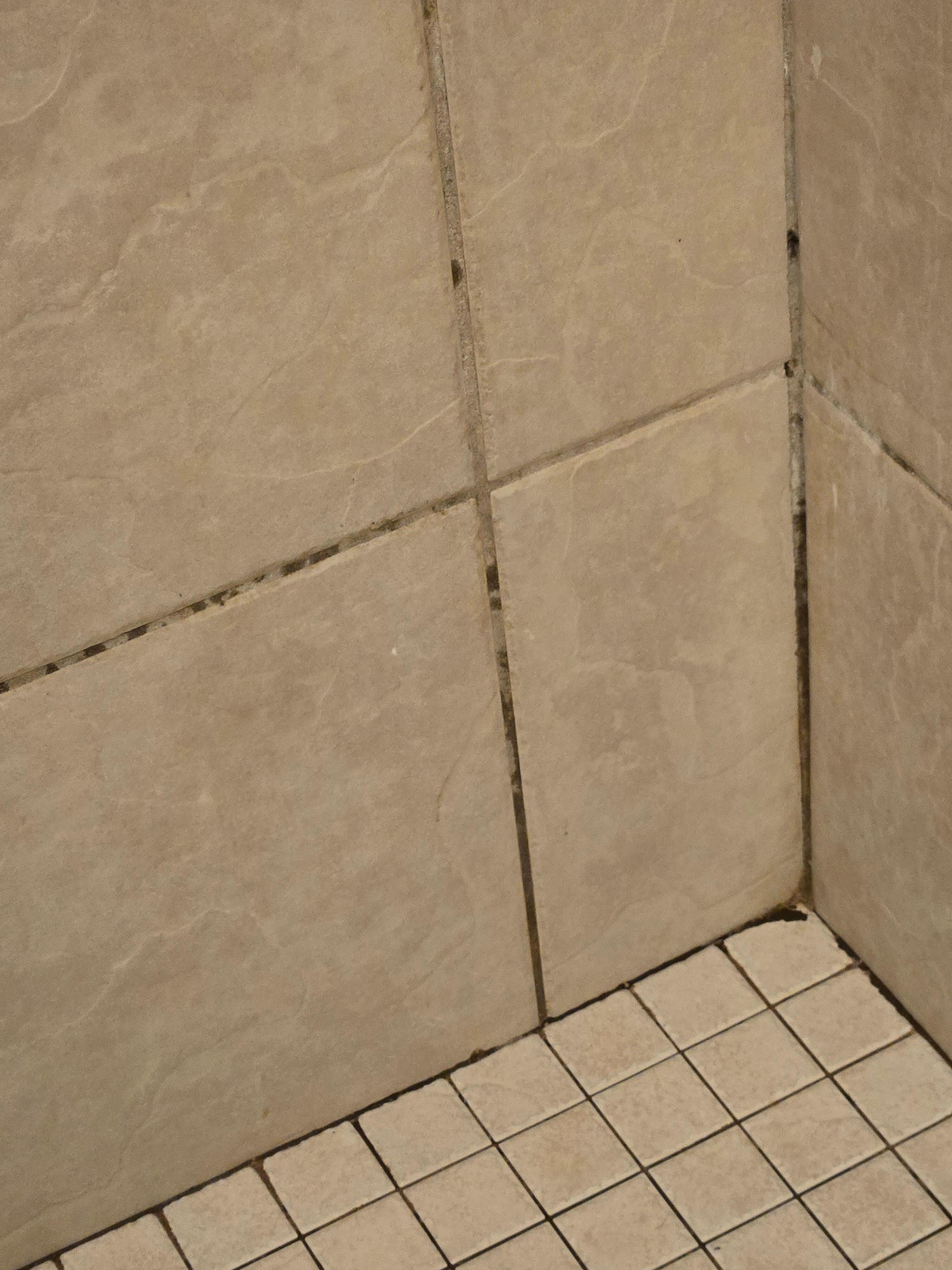 Grout in master shower was dirty and moldy