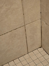Grout in master shower was dirty and moldy