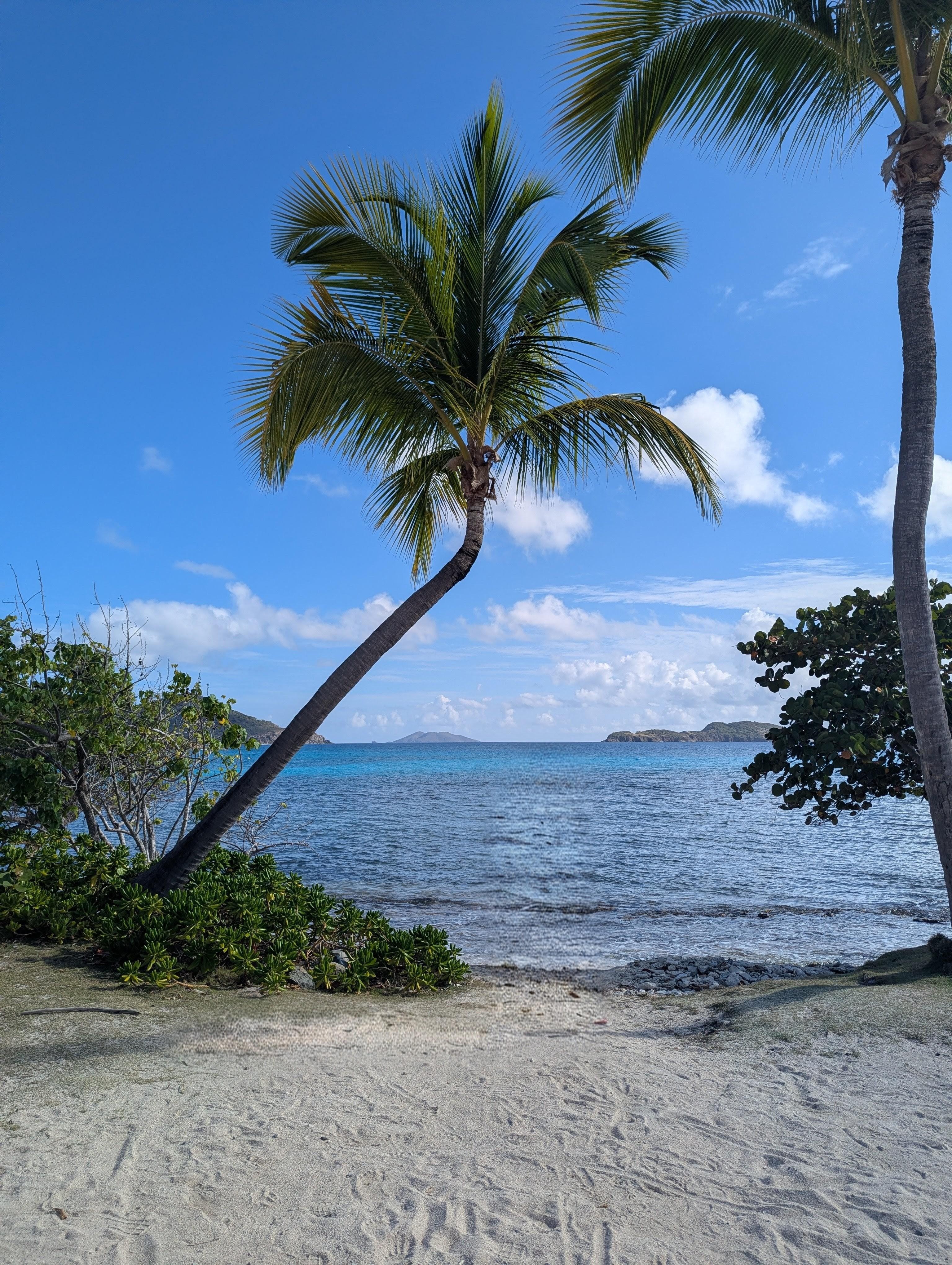 Beautiful photo op on Sapphire Beach!