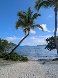 Beautiful photo op on Sapphire Beach!